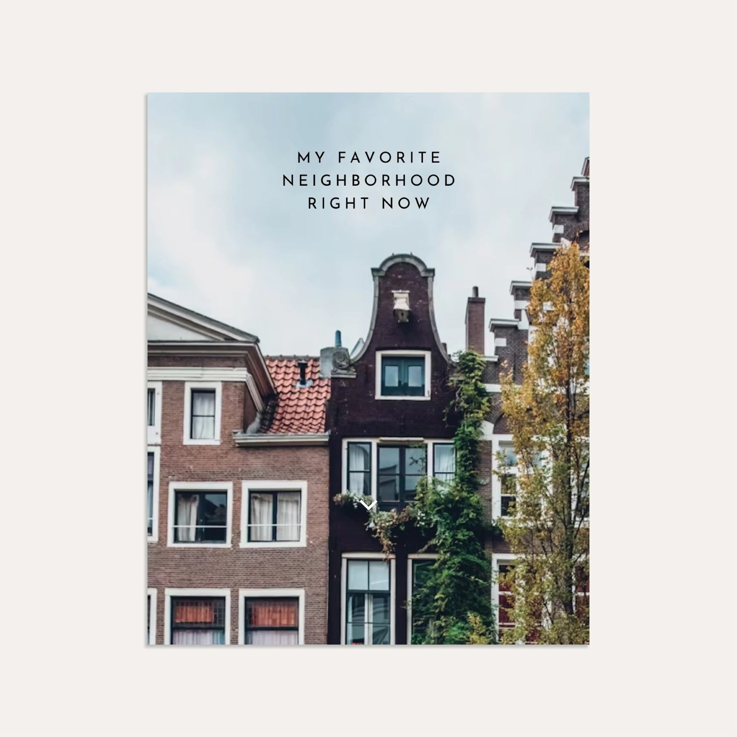 Favorite Neighborhood (Graphite)