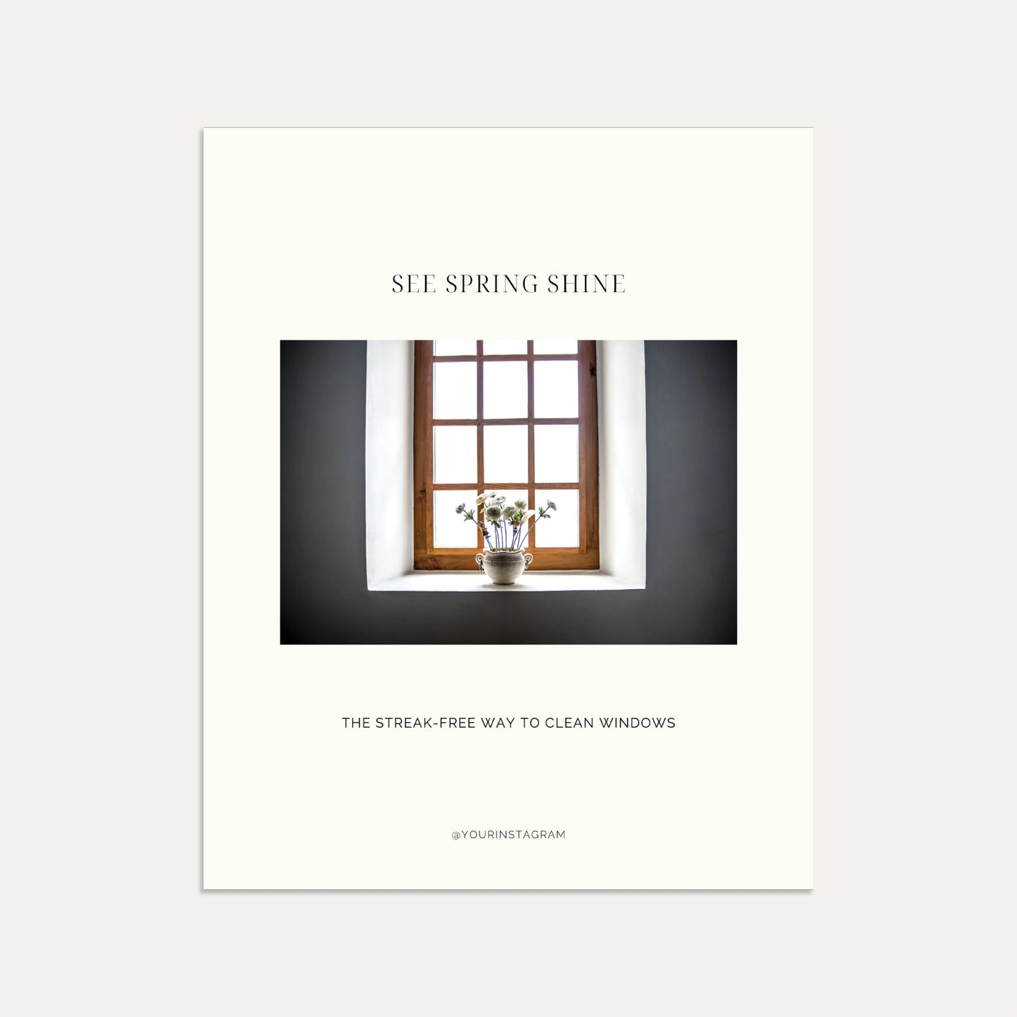 See Spring Shine: The Streak-Free Way to Clean Windows (Linen)