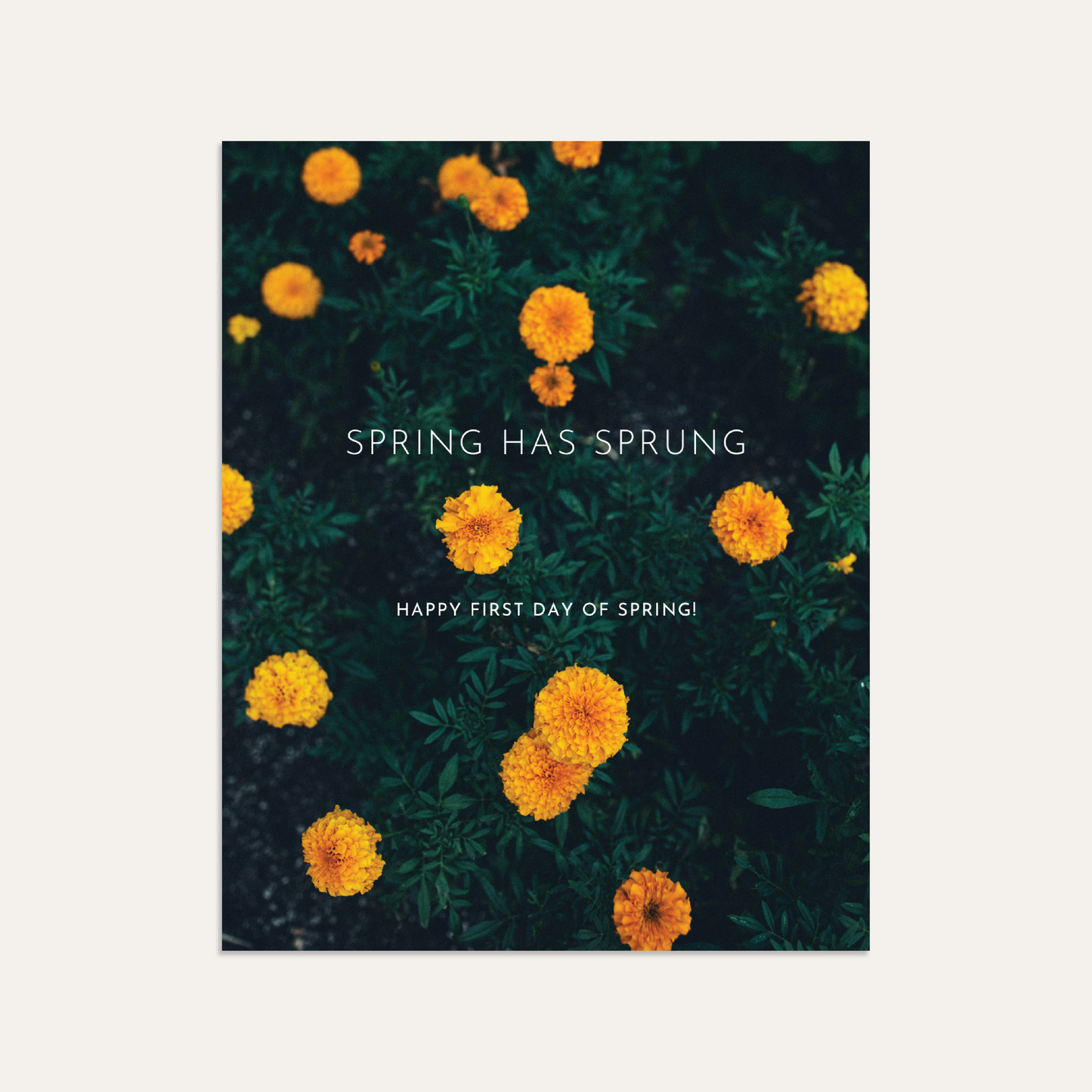 FREE! First Day of Spring IG Post