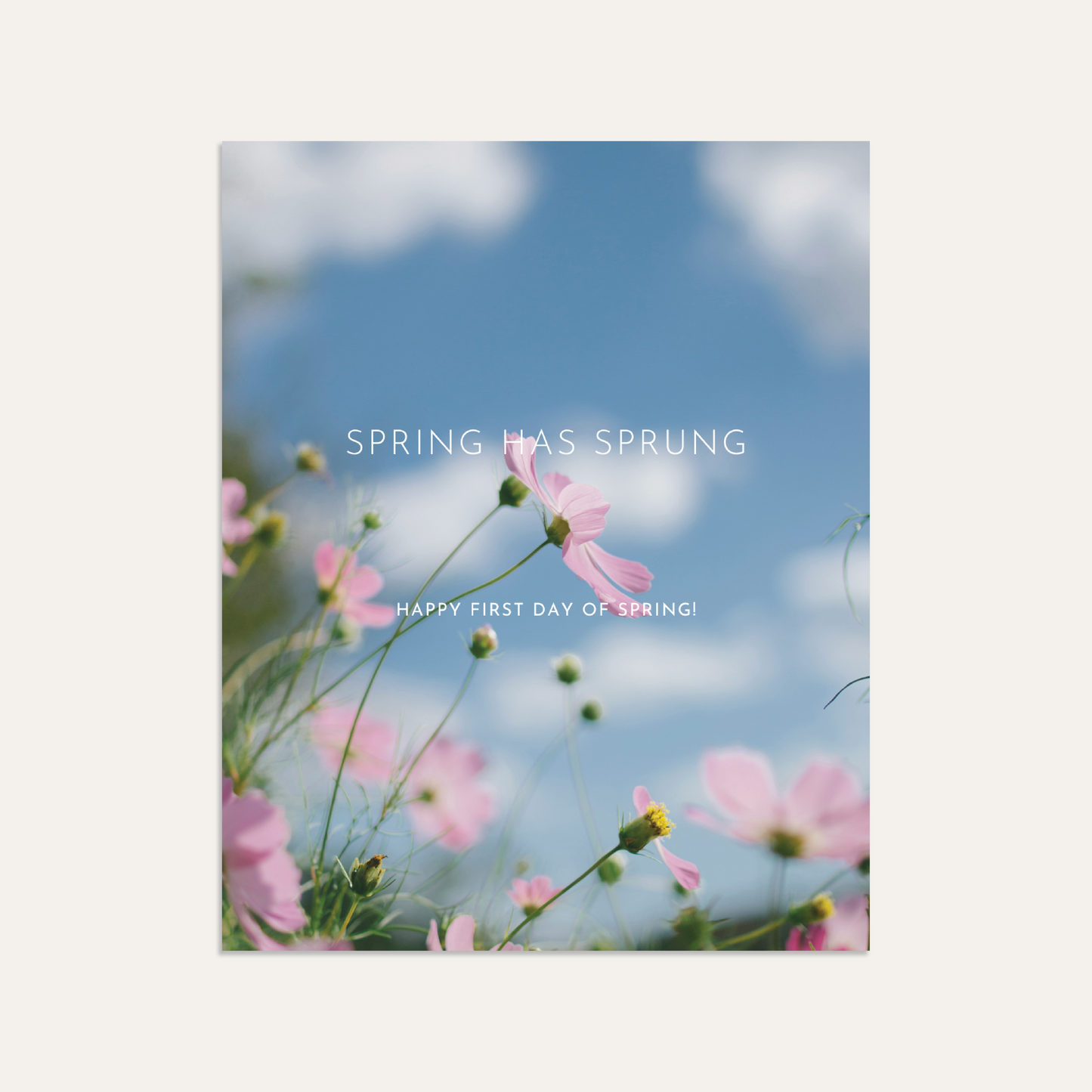 FREE! First Day of Spring IG Post