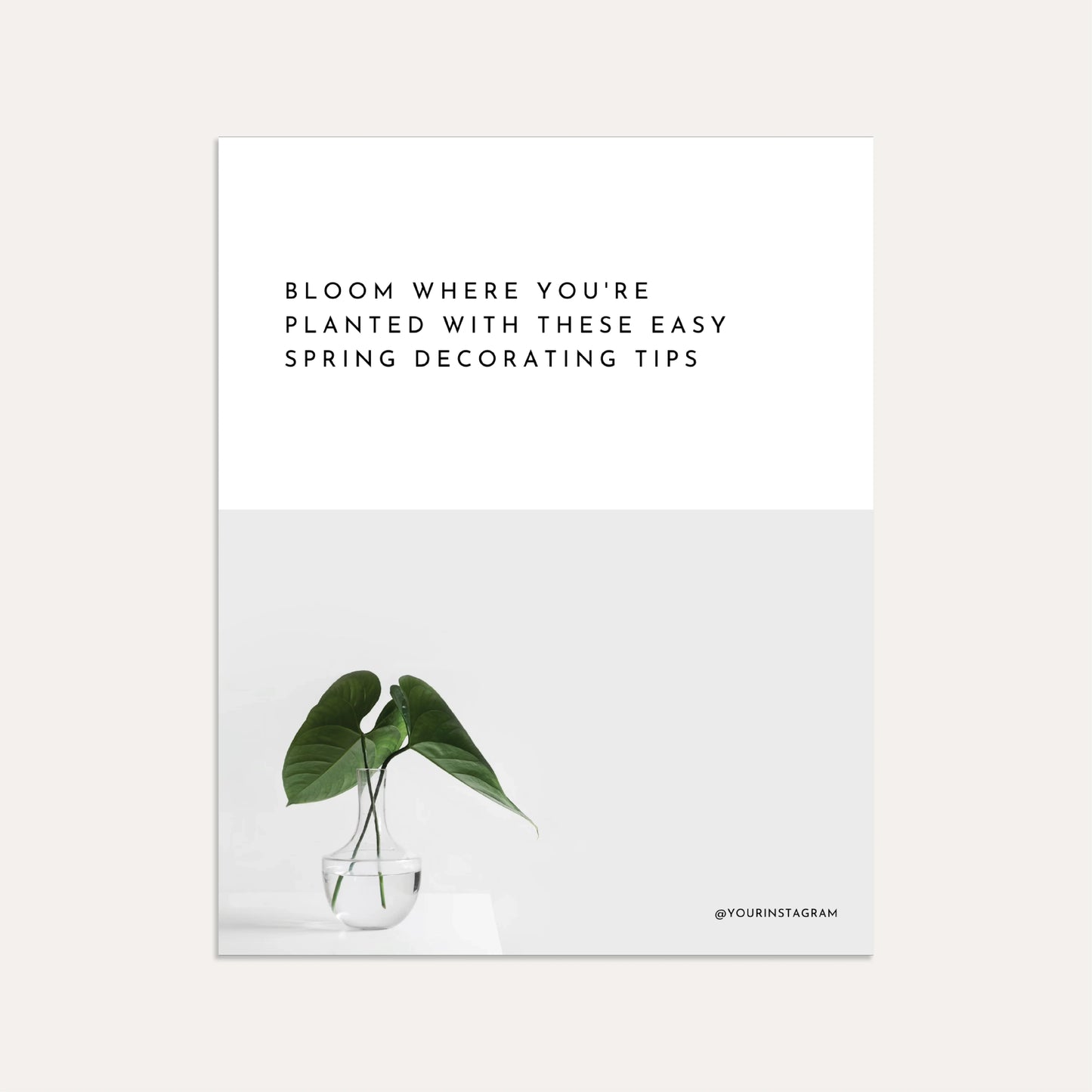 Bloom Where You're Planted With These Easy Spring Decorating Tips (Graphite)