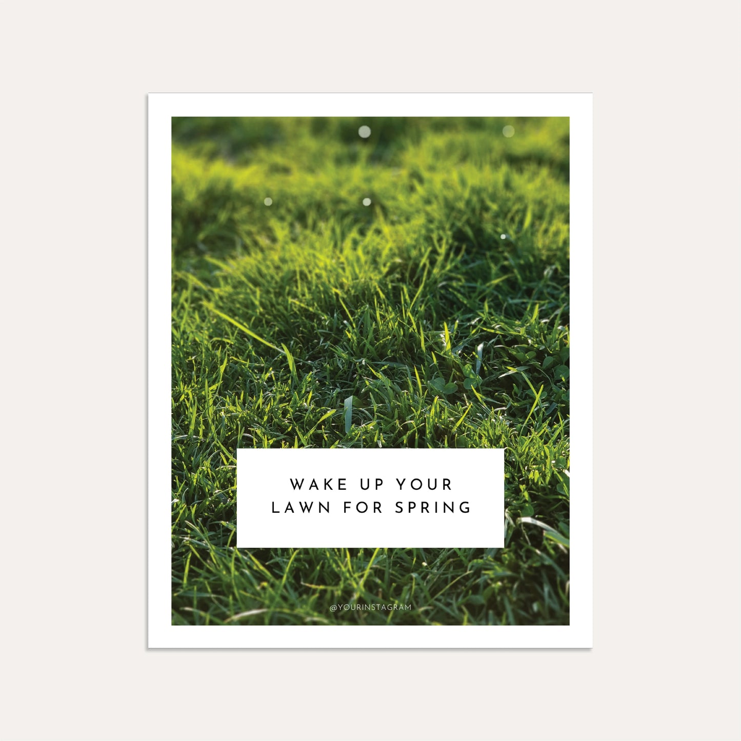 Wake Up Your Lawn for Spring (Graphite)