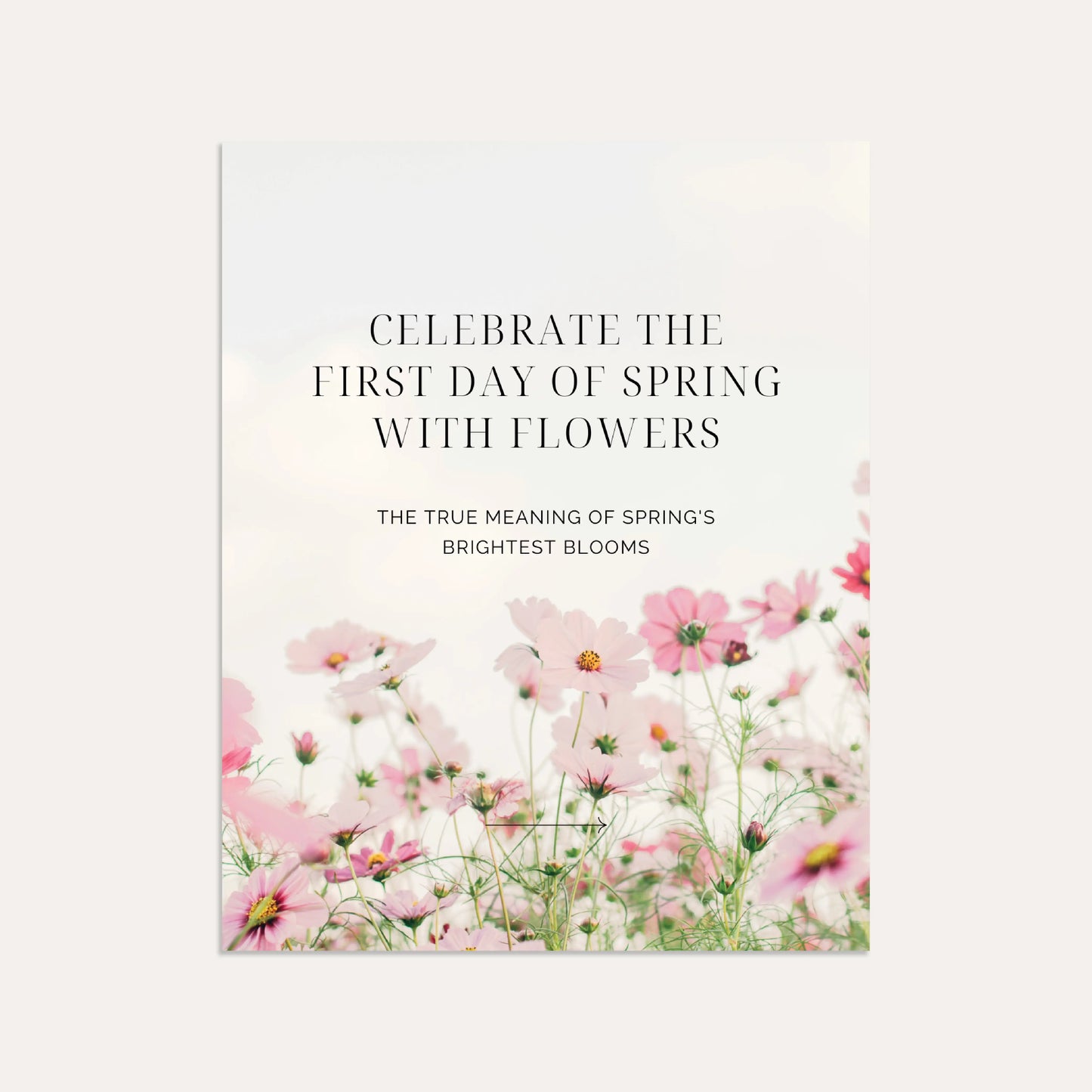 Celebrate the First Day of Spring with Flowers: The True Meaning of Spring's Brightest Blooms (Linen)