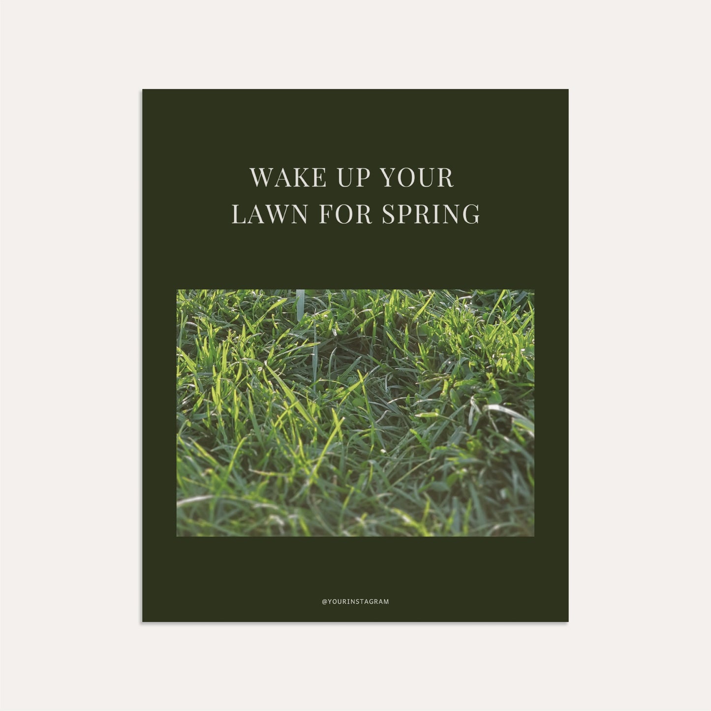 Wake Up Your Lawn for Spring (Sage)