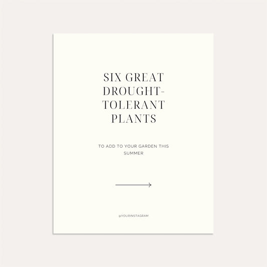 Drought-Tolerant Plants- Linen