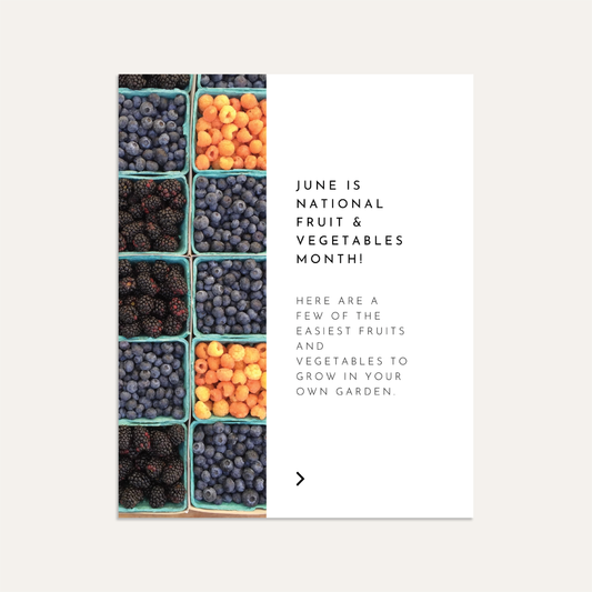 National Fruit & Vegetables Month - Graphite