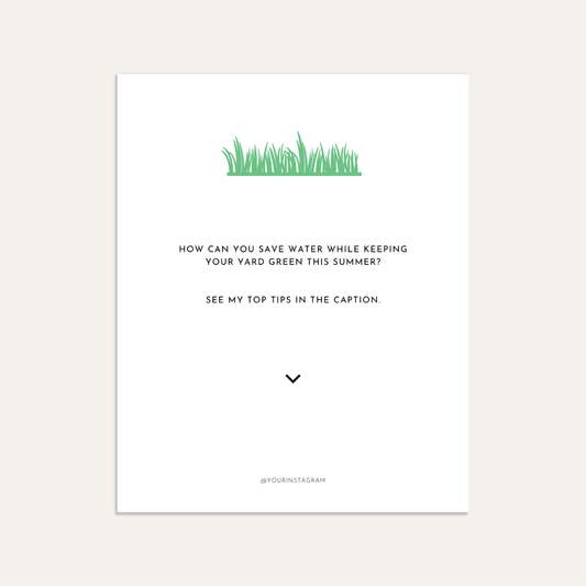 How can you save water while keeping your yard green this summer? See my top tips in the caption. (Graphite)