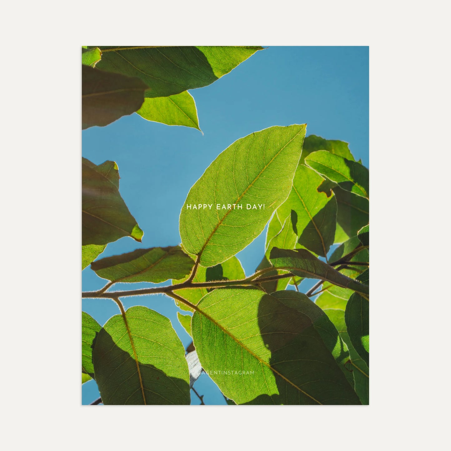 Earth Day