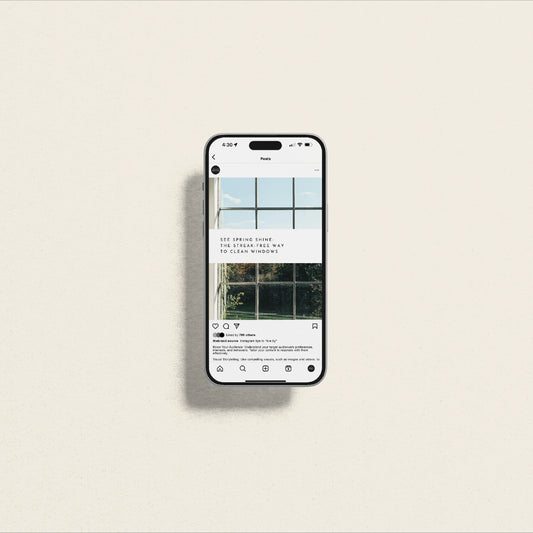 See Spring Shine: The Streak-Free Way to Clean Windows (Graphite)