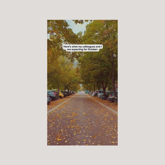 October Market Update: What the Headlines Won't Tell You